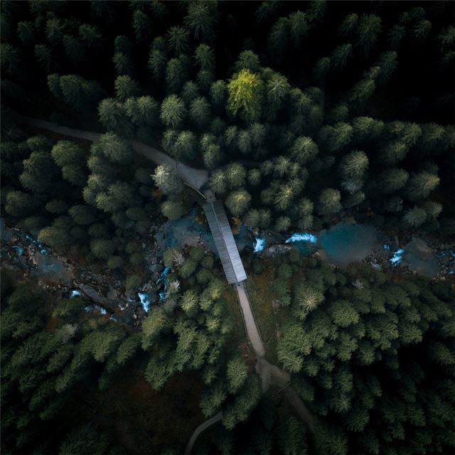 aerial view forest 4k iPad Pro wallpaper 