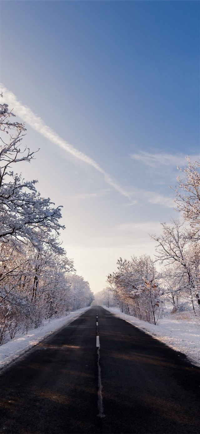 autumn winter road outdoors iPhone 11 wallpaper 