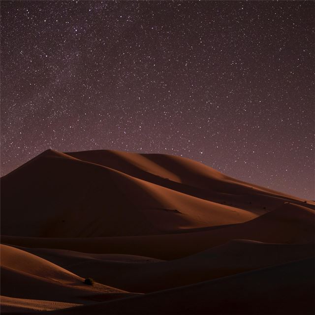 desert during night time 5k iPad wallpaper 