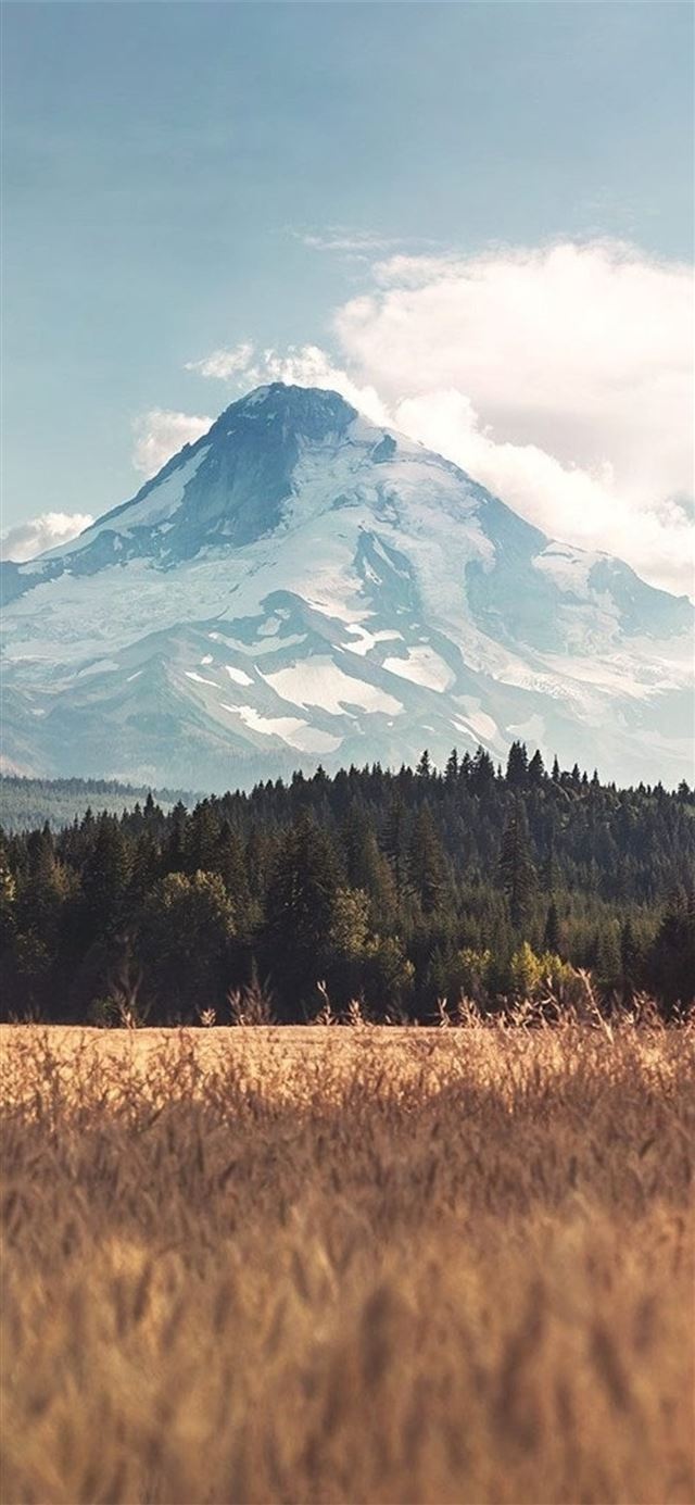 landscape mountain iPhone 11 wallpaper 