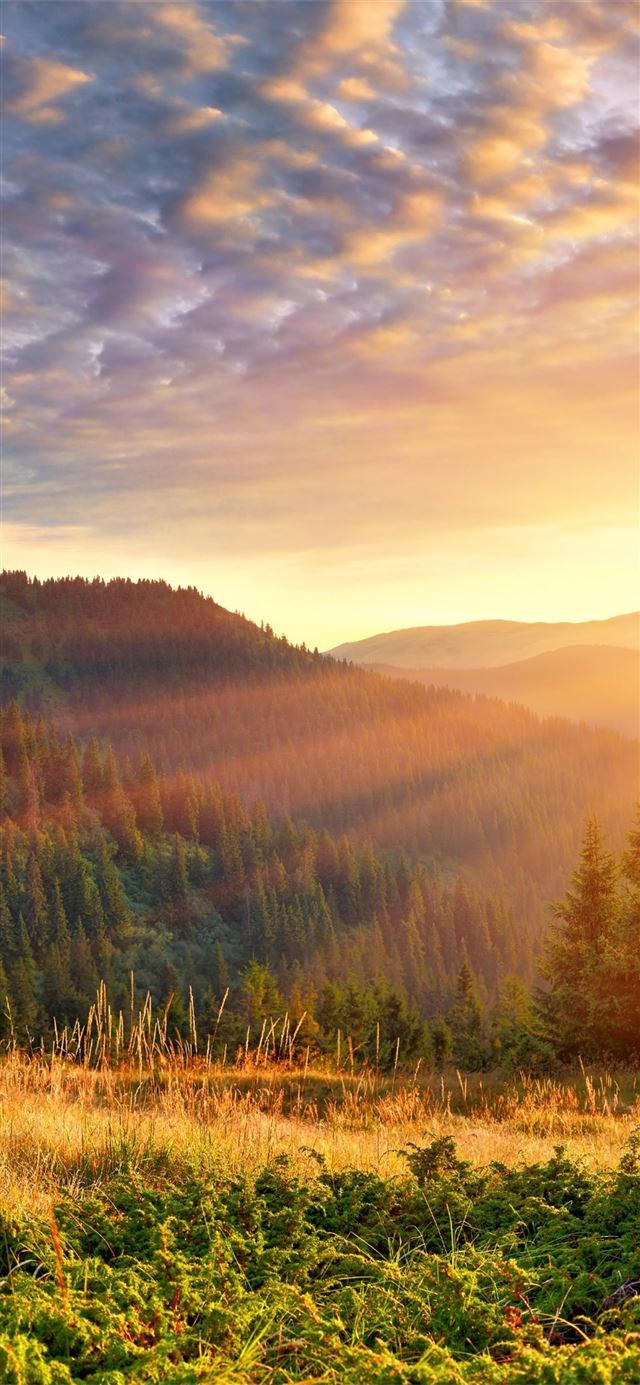 mountain scenery morning sun rays 4k iPhone X wallpaper 