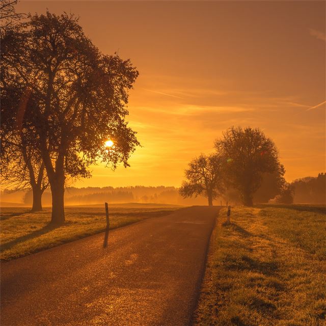 scenic road sunrise sunset trees meadow iPad Pro wallpaper 