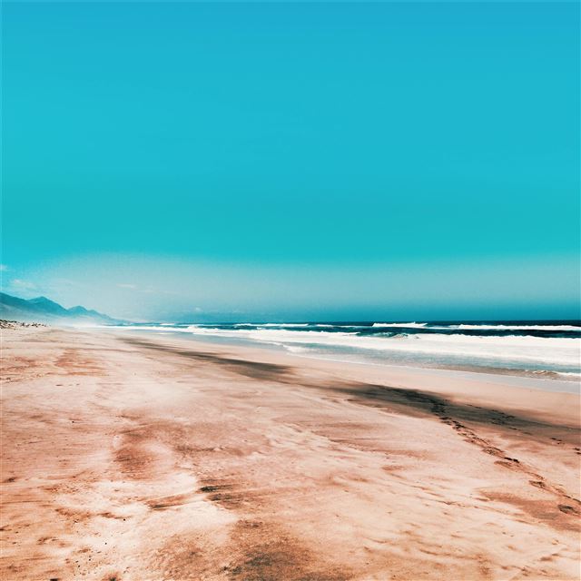 seashore under clear blue sky 5k iPad Pro wallpaper 