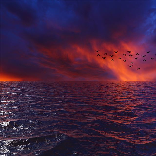 waves sky birds 4k iPad wallpaper 