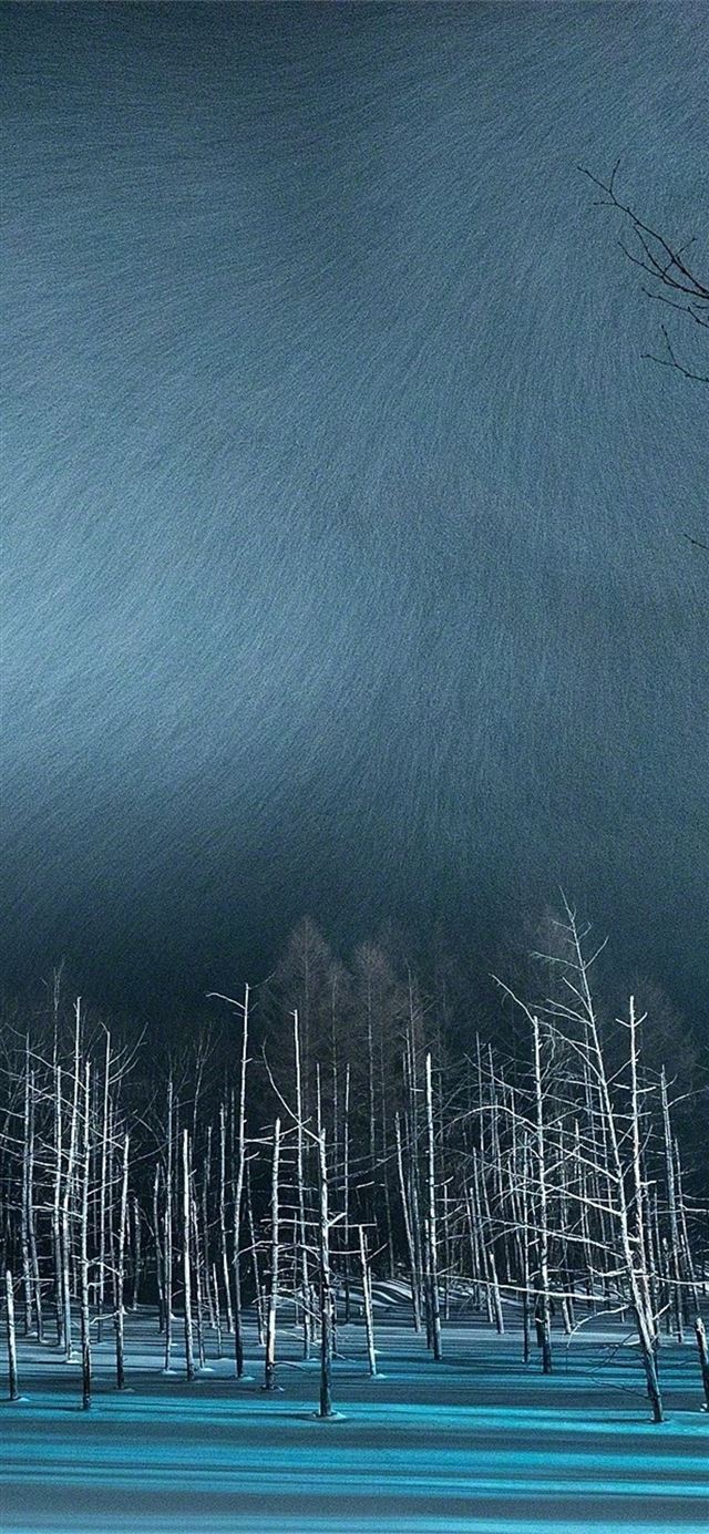winter night snow trees iPhone X wallpaper 