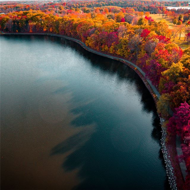 autumn lake boundary path iPad Air wallpaper 