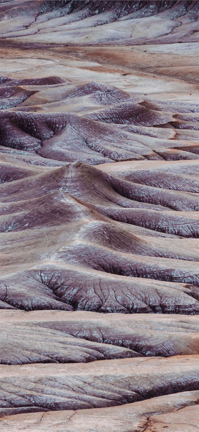 desert photography iPhone 11 wallpaper 
