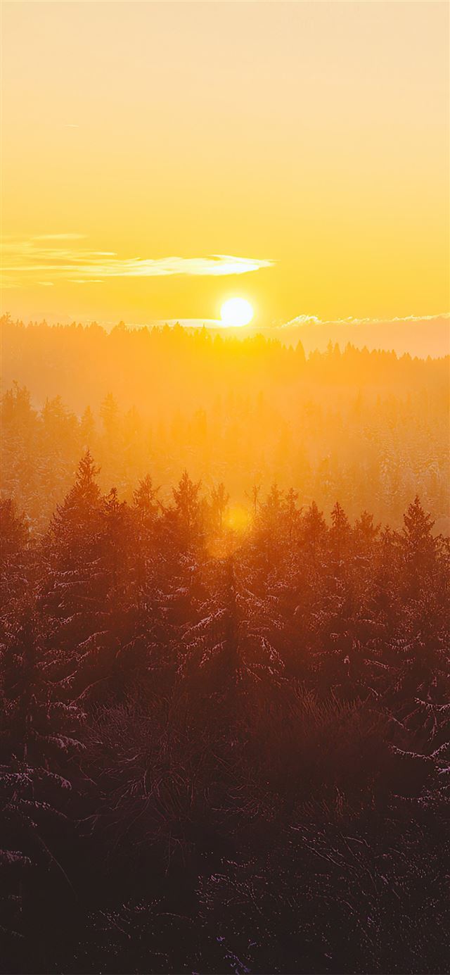 golden hour foggy landscape 4k iPhone 11 wallpaper 