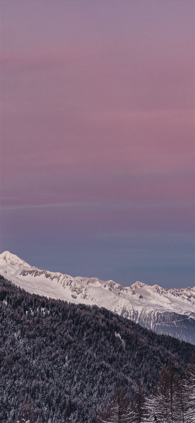 mountain covered with snow and surrounedd in trees... iPhone X wallpaper 