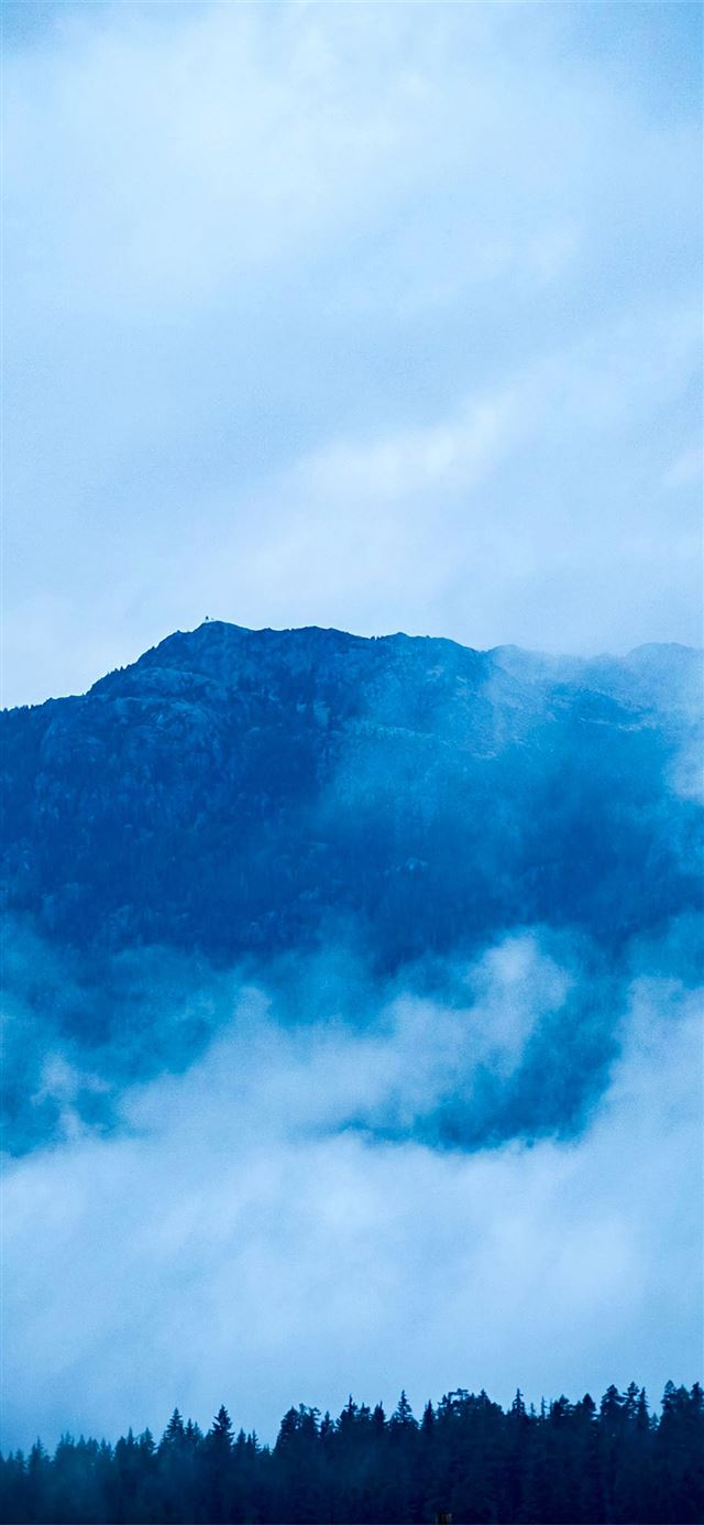 nature fog 4k iPhone 11 wallpaper 