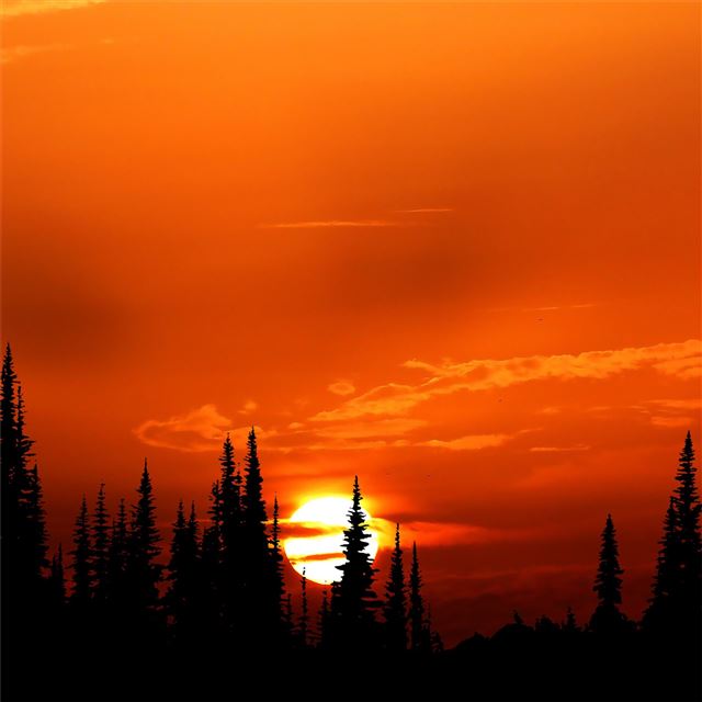 relaxing orange sunset evening 4k iPad Pro wallpaper 