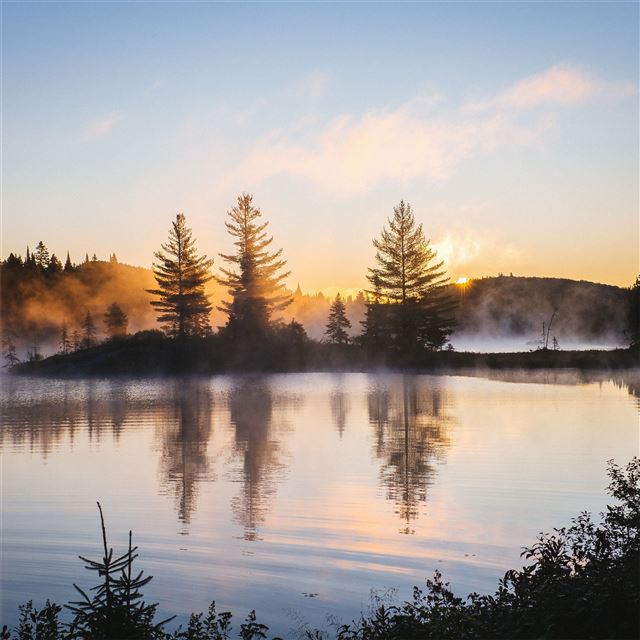 lake reflection morning mist trees nature hd 4k iPad Pro wallpaper 
