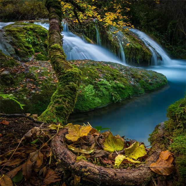 waterfalls moss foliage 5k iPad Pro wallpaper 