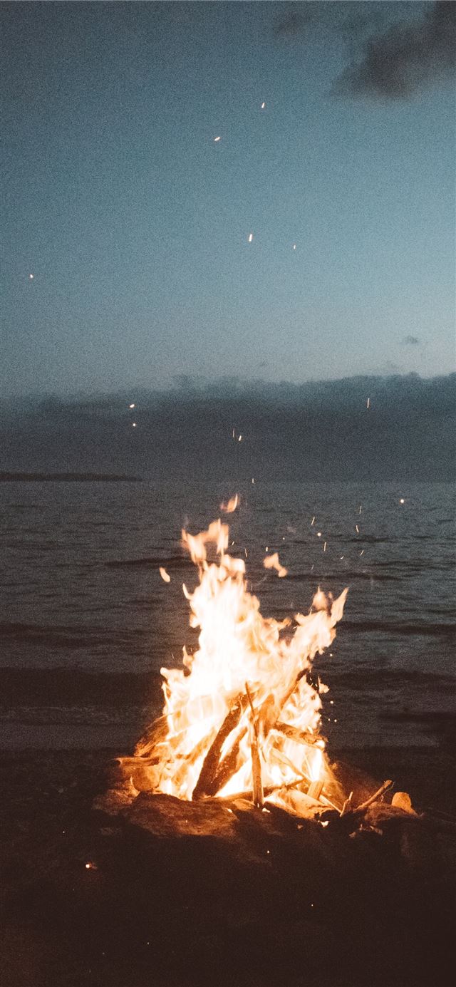 bonfire near seashore during nighttime iPhone 11 wallpaper 