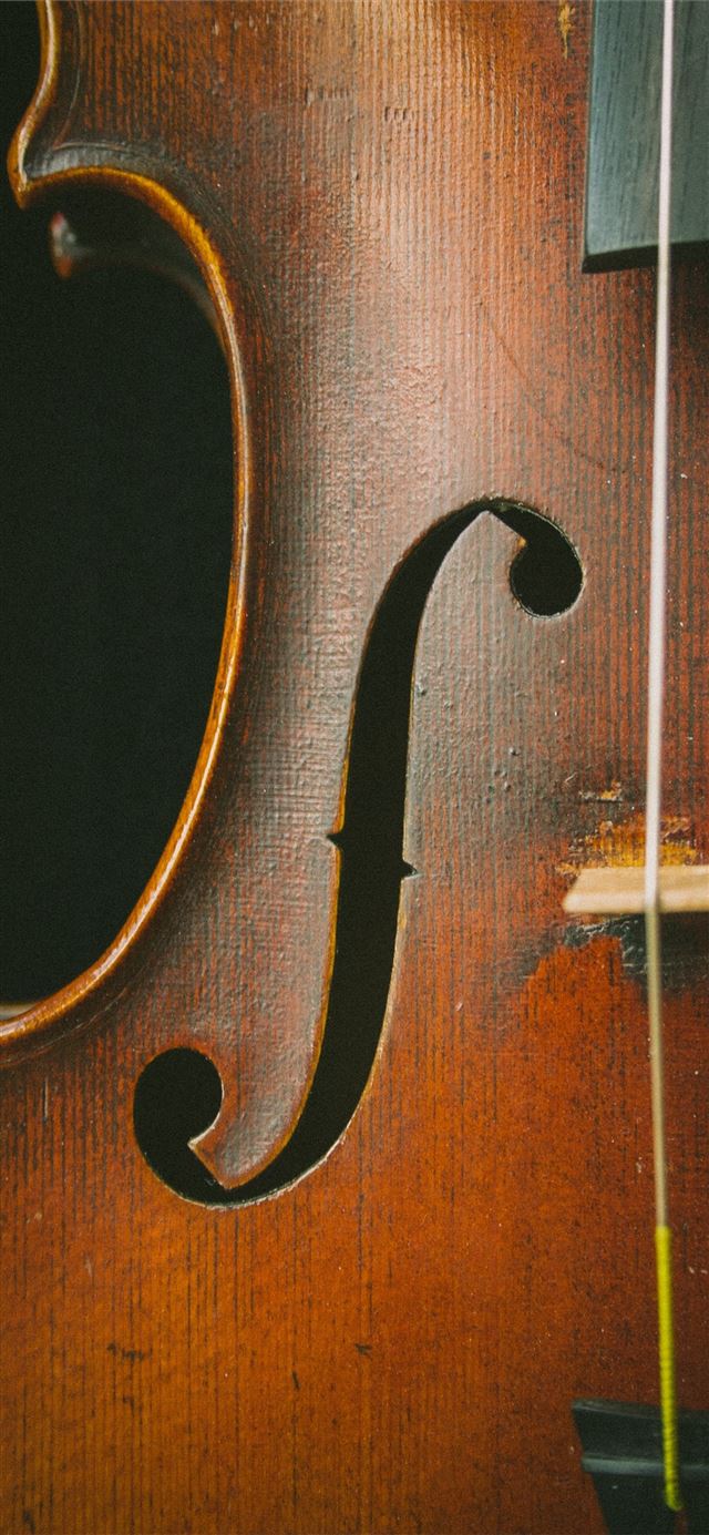brown violin iPhone 11 wallpaper 