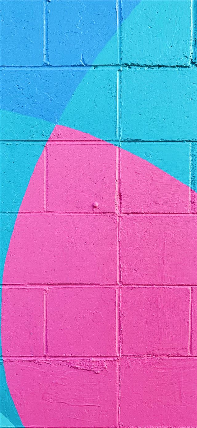 closeup photo of teal and pink wall iPhone 11 wallpaper 