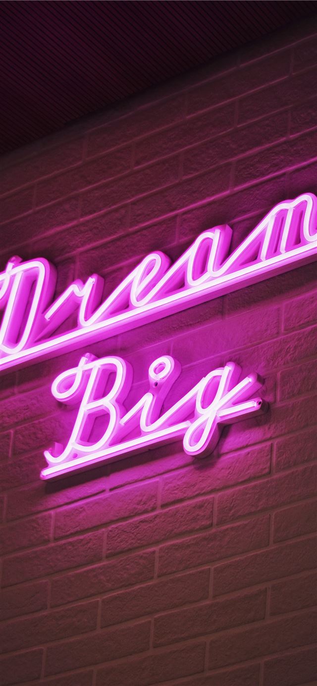Dream Brig neon signage iPhone 11 wallpaper 