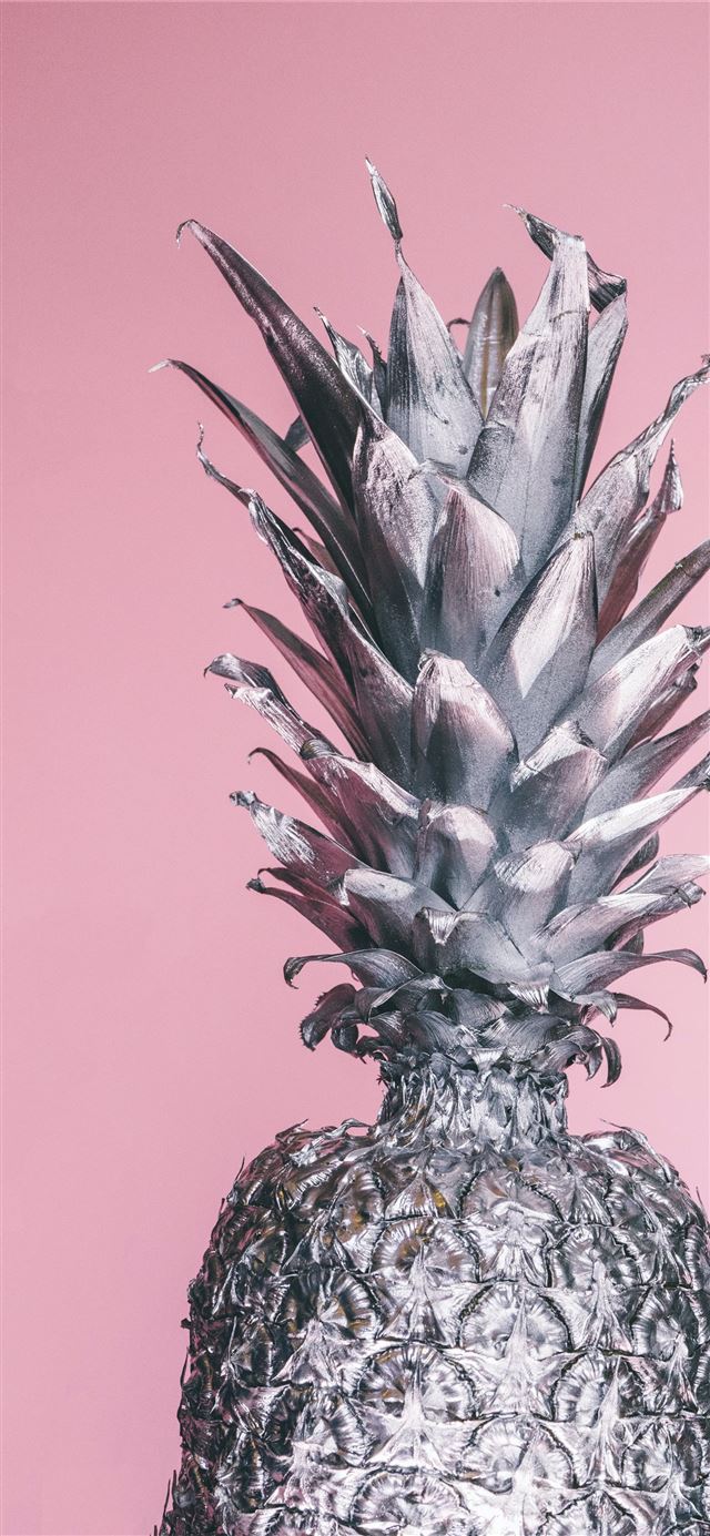 gray pineapple ornament iPhone 11 wallpaper 
