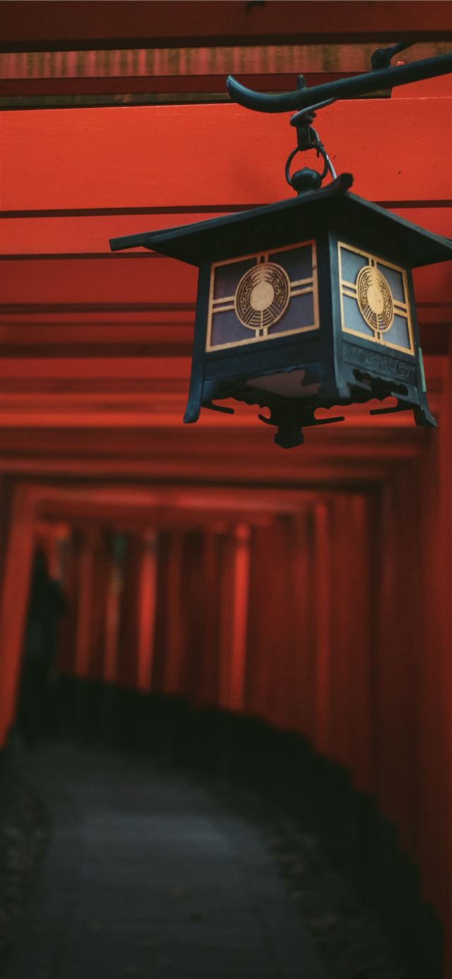 shallow focus photography of lantern iPhone 8 wallpaper 