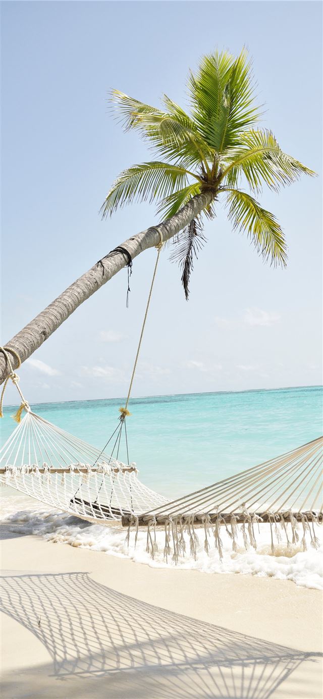 coconut palm tree and hammock by the sea during da... iPhone 8 wallpaper 