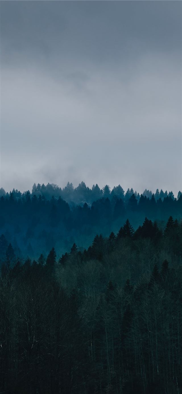 mistlands with gray clouds iPhone 8 wallpaper 