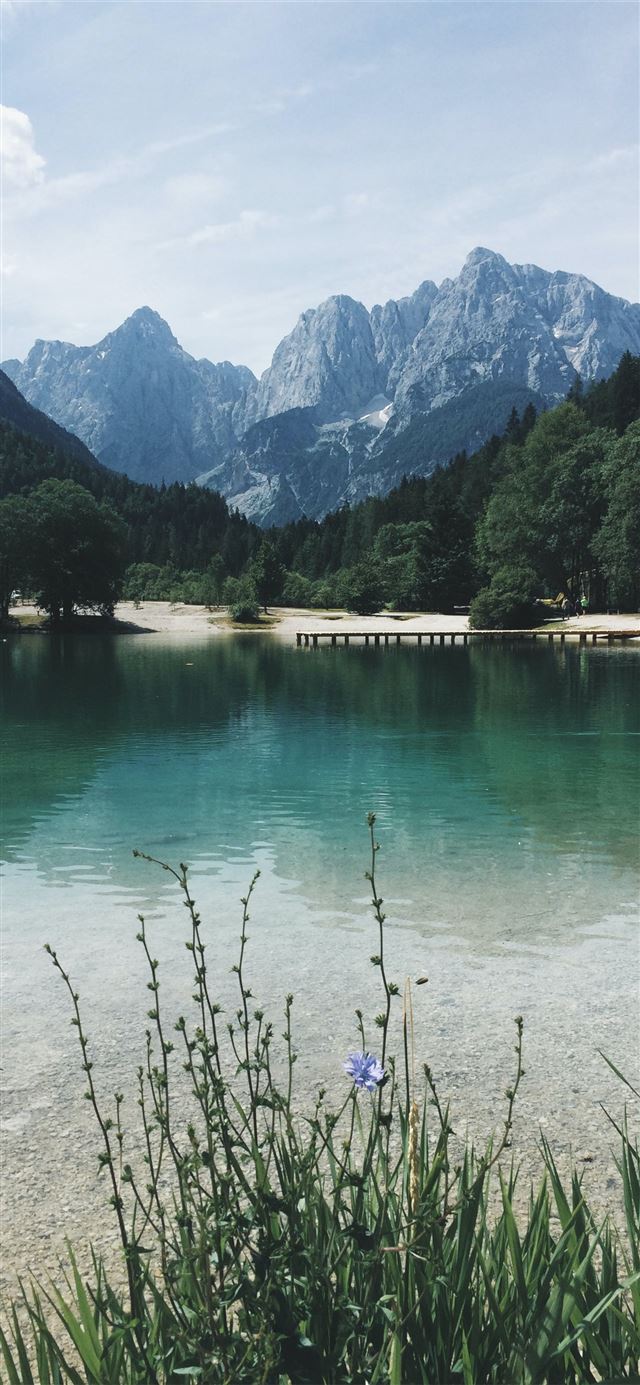 calm body of water surrounded with trees and mount... iPhone 11 wallpaper 