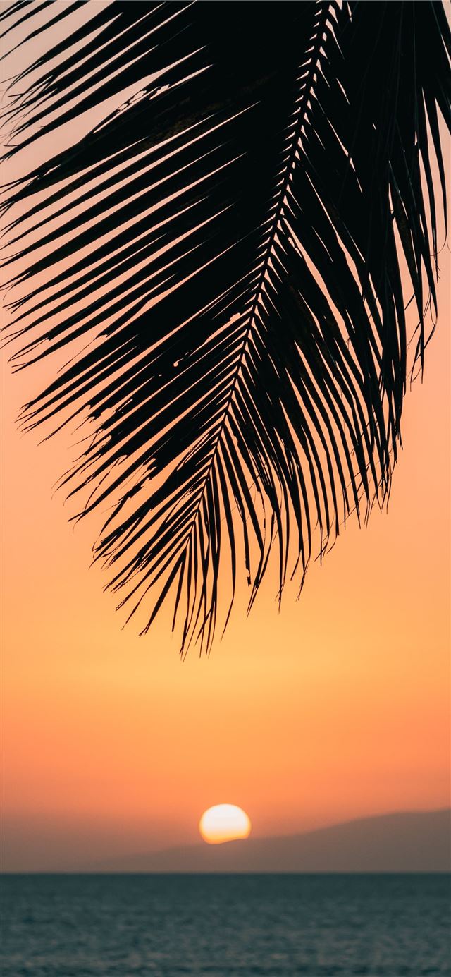 calm ocean at sunset iPhone 11 wallpaper 