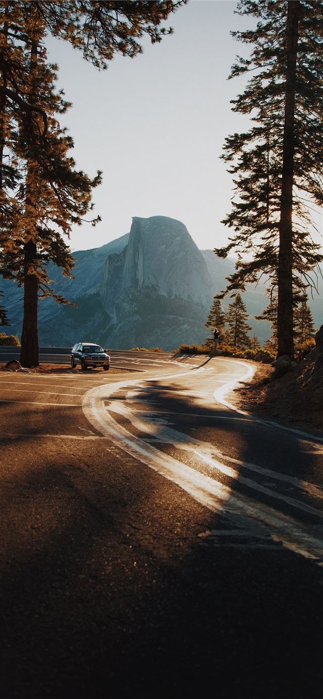 car on curve road surrounded by trees iPhone 11 wallpaper 