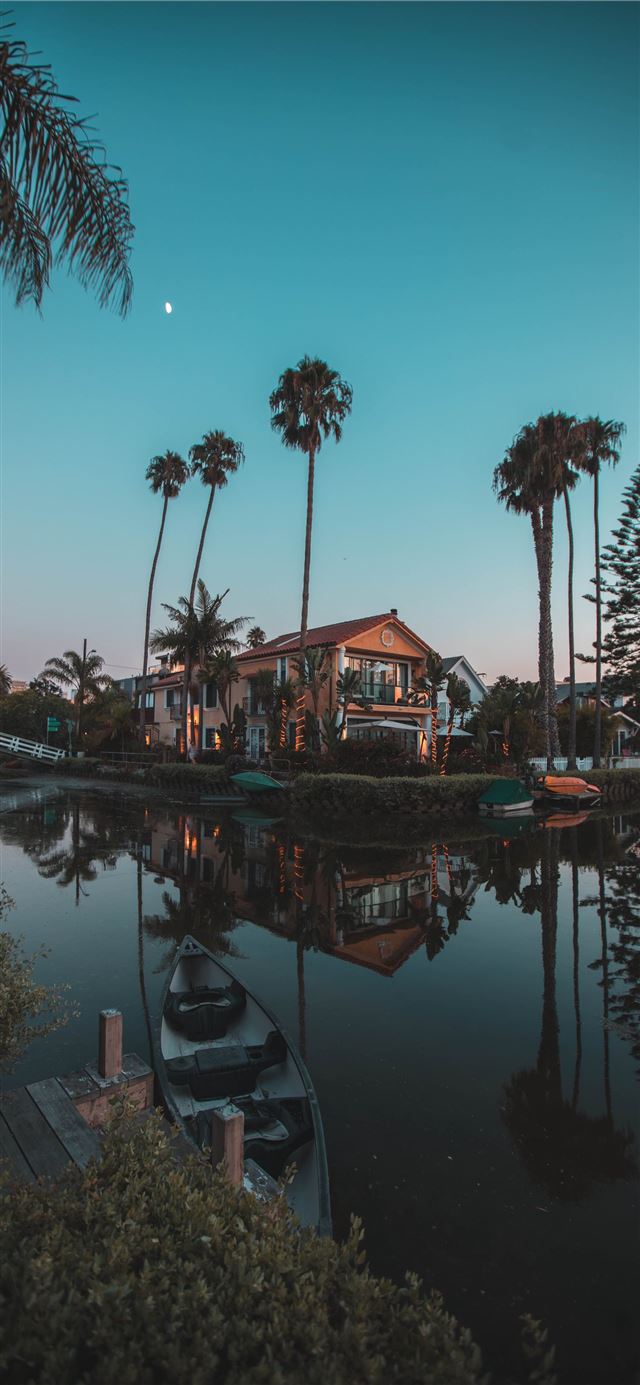 in distant brown 2 storey house surrounded by palm... iPhone 11 wallpaper 