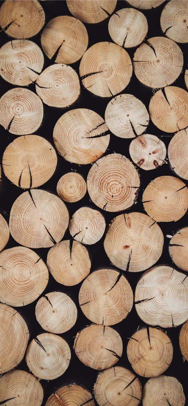 brown wood log lot iPhone 11 wallpaper 
