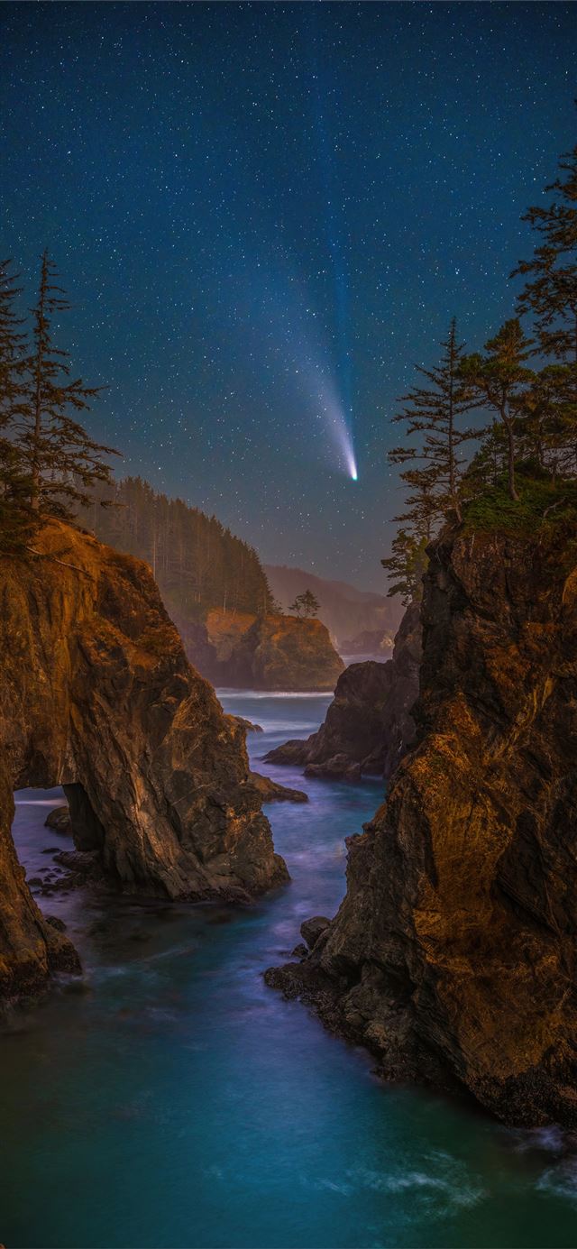 coast stars scenery oregon night trees 5k iPhone 11 wallpaper 