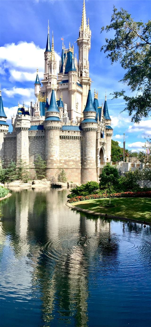 Disney Castle Singapore iPhone 11 wallpaper 