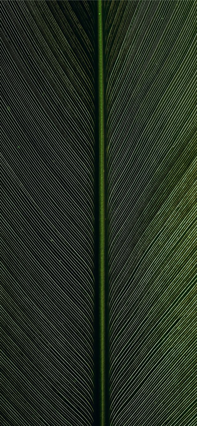 green metal rod on black and white pinstripe texti... iPhone 11 wallpaper 