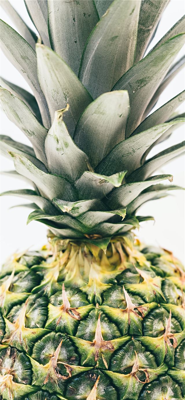 green pineapple fruit iPhone 11 wallpaper 