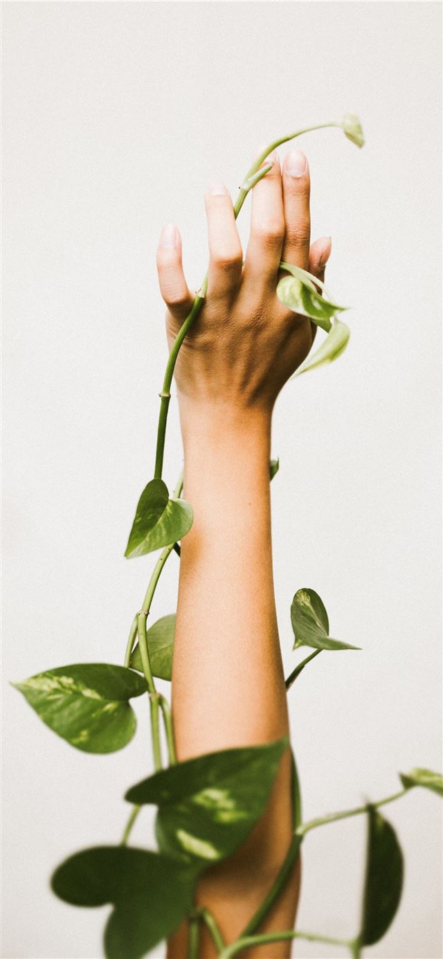 person holding ivy plant iPhone 11 wallpaper 