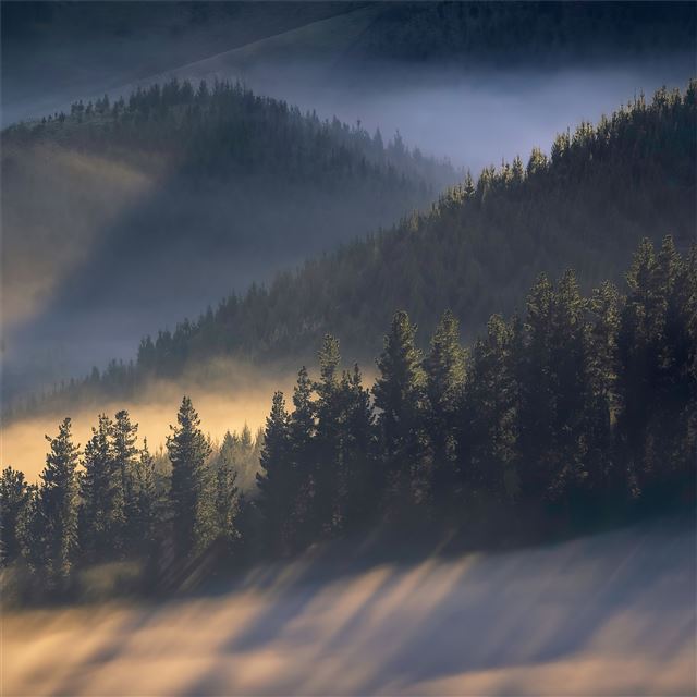 early morning sun rays over trees mountains 4k iPad wallpaper 