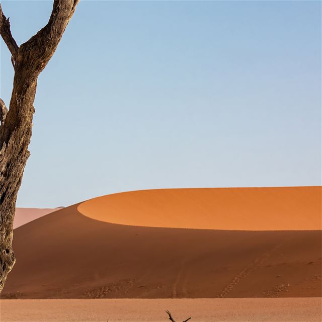 desert sand dune dunes 5k iPad wallpaper 