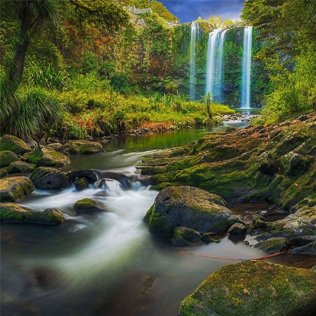a waterfall flowing through a subtropical forest 8... iPad wallpaper 